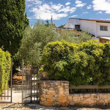 Grota Premium & * Πόρετς