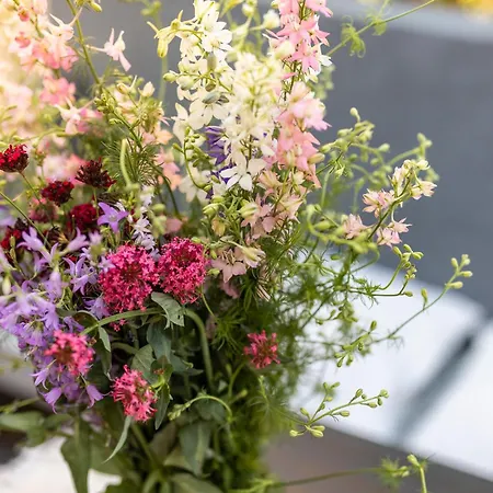 Grota Premium & Διαμέρισμα