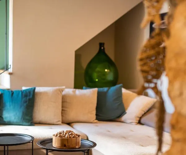 Apartment Grota Premium Apartment&room *