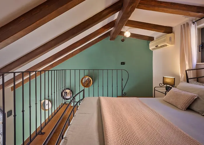 Daire Grota Premium &