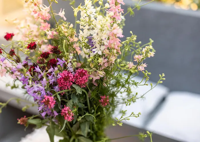 Grota Premium & Διαμέρισμα